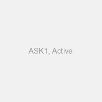 ASK1, Active